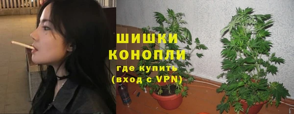 индика Снежногорск