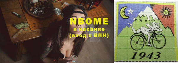 индика Снежногорск