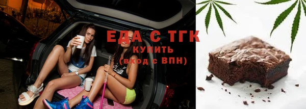 индика Снежногорск
