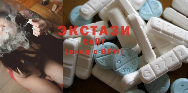 индика Снежногорск