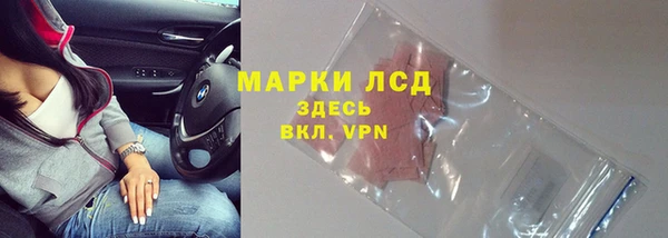 PSILOCYBIN Слюдянка
