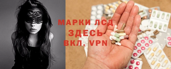 сатива Снежинск
