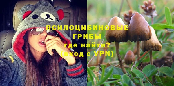 сатива Снежинск
