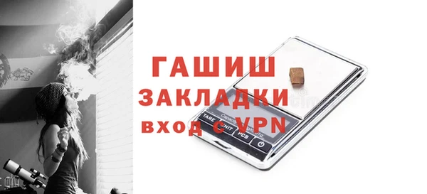 индика Снежногорск