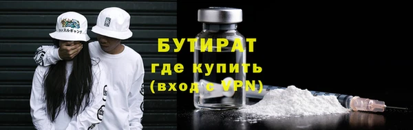 индика Снежногорск