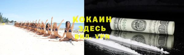 индика Снежногорск
