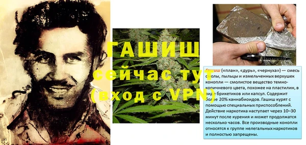 индика Снежногорск