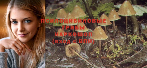 сатива Снежинск