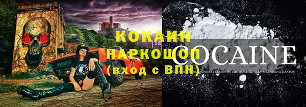 индика Снежногорск