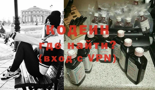 индика Снежногорск