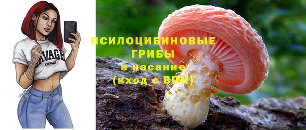 сатива Снежинск