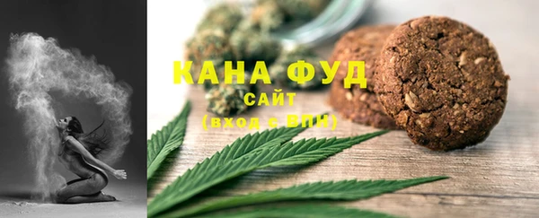 индика Снежногорск