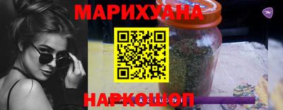 СК Кингисепп