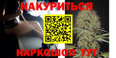 СК Кингисепп