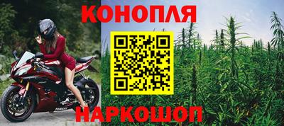 СК Кингисепп