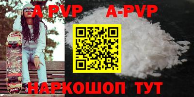 СК Кингисепп