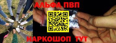 СК Кингисепп