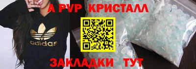 СК Кингисепп